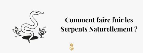 Comment faire fuir les Serpents Naturellement
