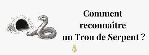Comment reconnaître un trou de serpent
