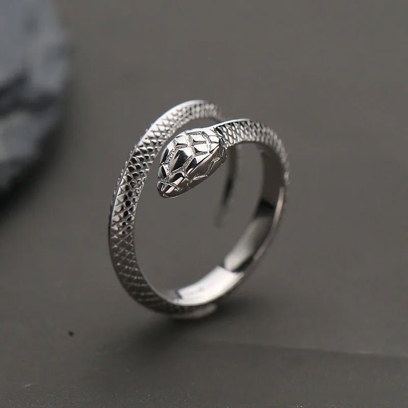 Bague Homme Serpent Argent Bijoux Serpent