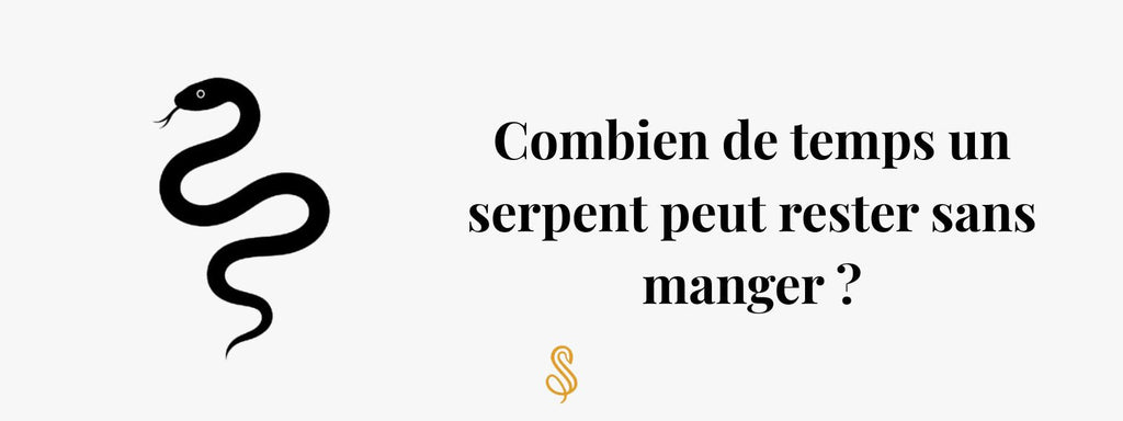 Combien de temps un serpent peut rester sans manger ?