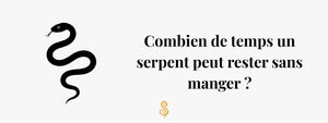 Combien de temps un serpent peut rester sans manger ?