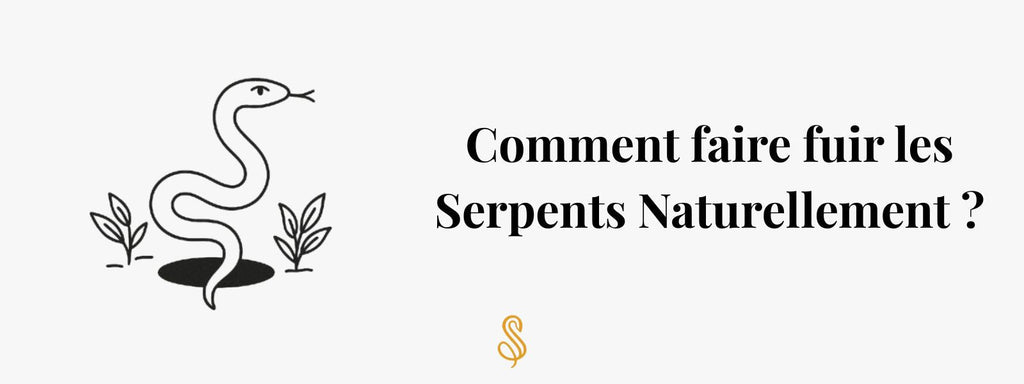 Comment faire fuir les Serpents Naturellement ?