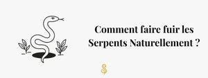 Comment faire fuir les Serpents Naturellement ?