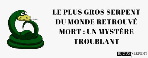Le Plus Gros Serpent du Monde Retrouvé Mort 