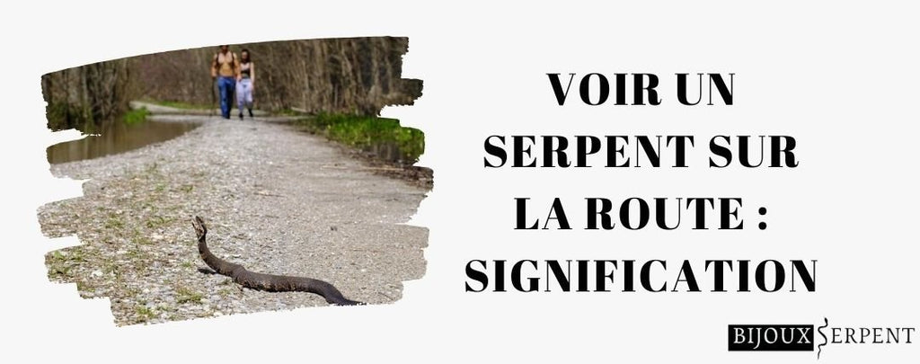Voir un Serpent sur la Route : Signification
