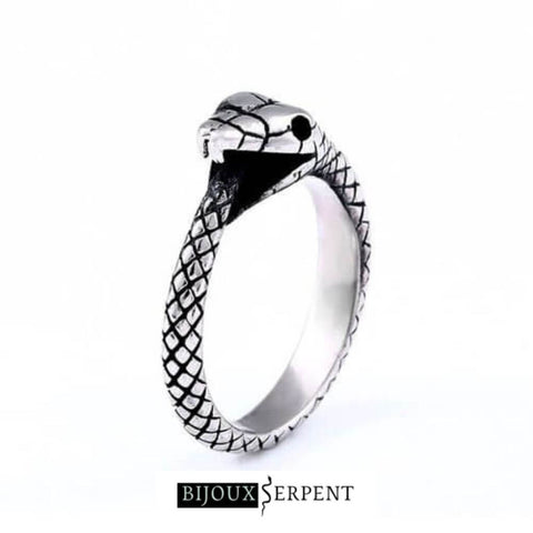 Bague Ouroboros Argent