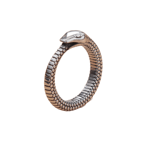 Bague ouroboros homme 2025