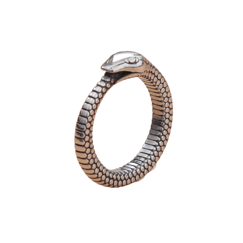 Bague Ouroboros Homme Bijoux Serpent